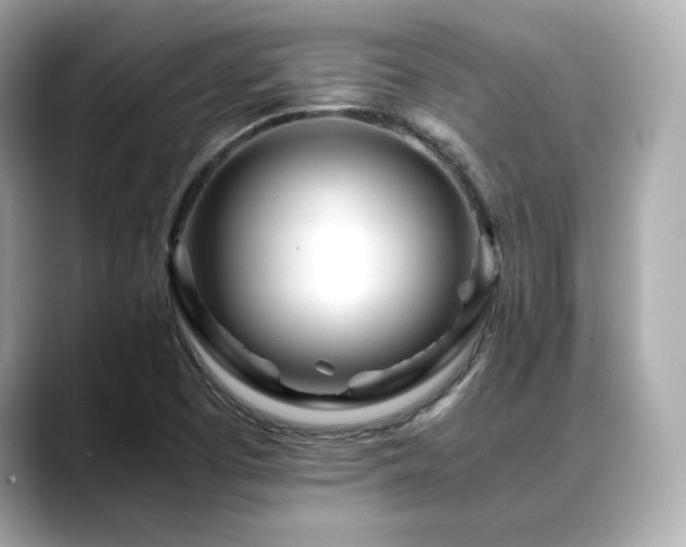 X0000088701457200705311206
