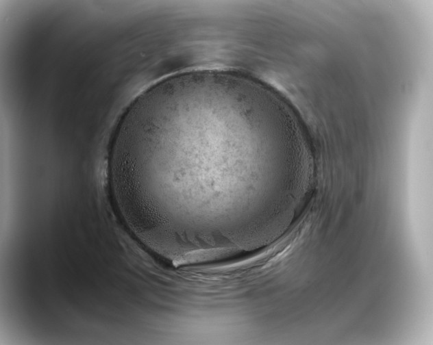 X0000088701459200705311206