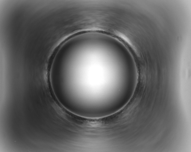 X0000088701460200705311206
