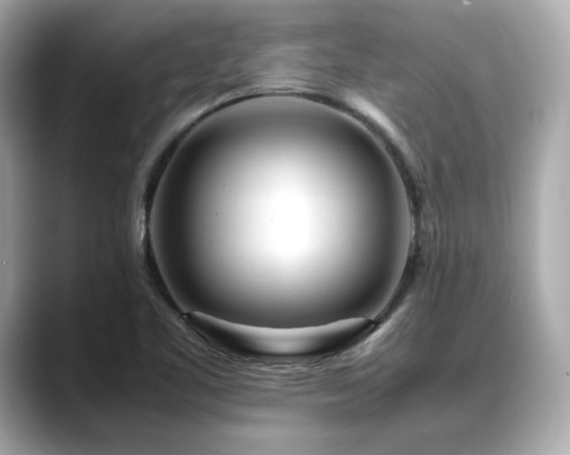 X0000088701461200705311206
