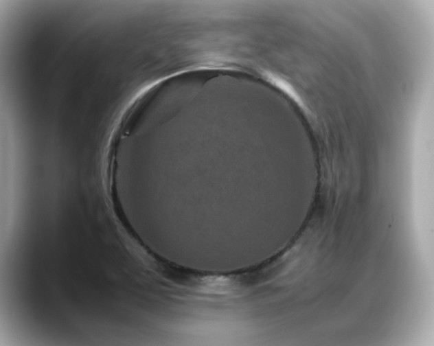 X0000088701463200705311206