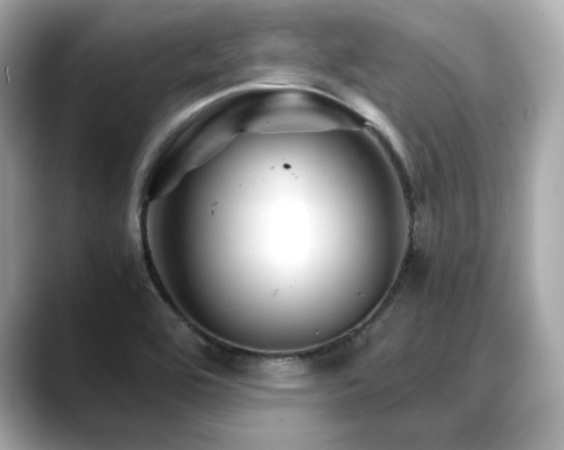 X0000088701464200705311206