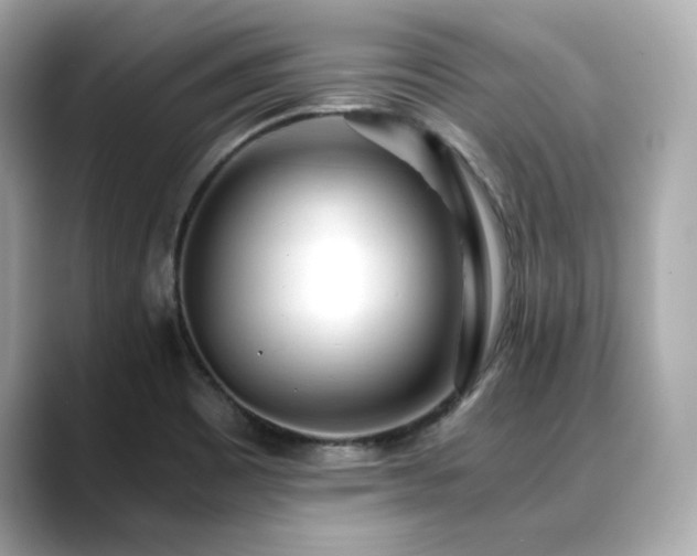 X0000088701465200705311206