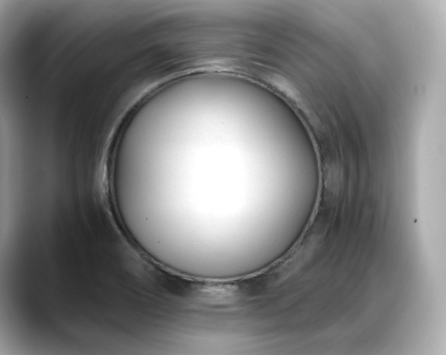 X0000088701466200705311206