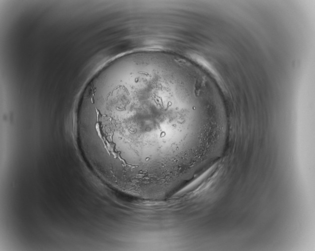 X0000088701467200705311206