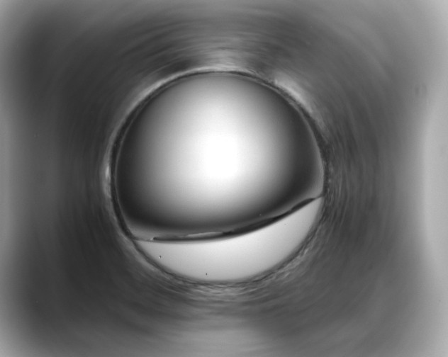 X0000088701468200705311206