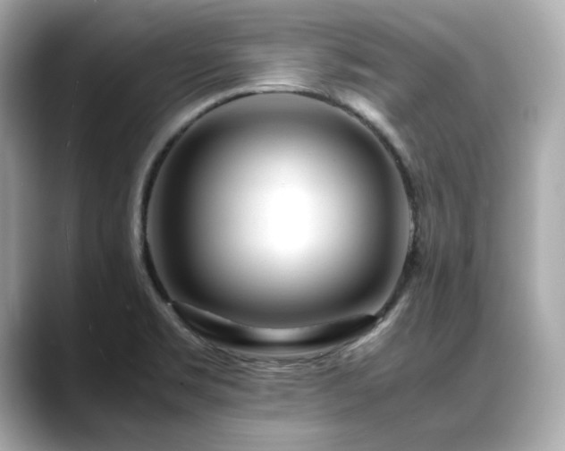 X0000088701469200705311206