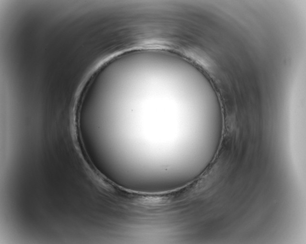 X0000088701470200705311206