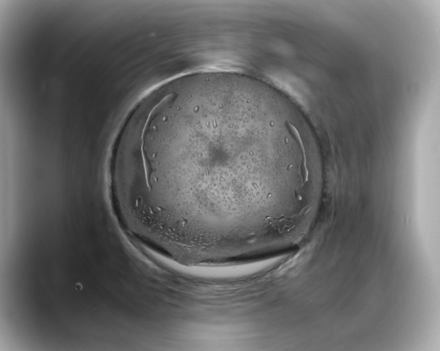 X0000088701471200705311206