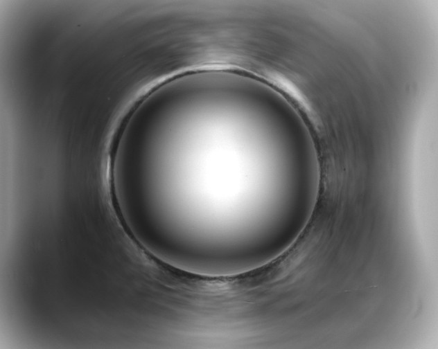 X0000088701472200705311206