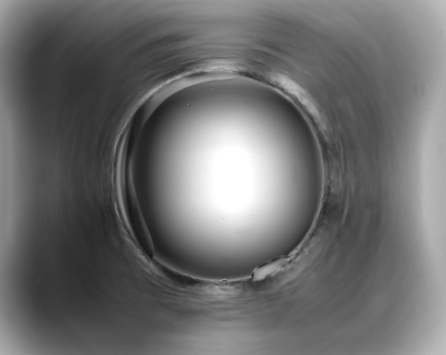 X0000088701473200705311206