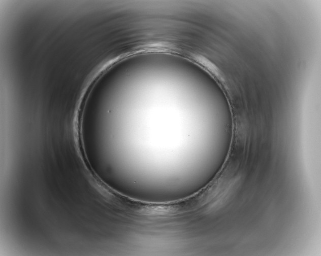 X0000088701474200705311206