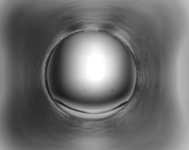 X0000088701475200705311206