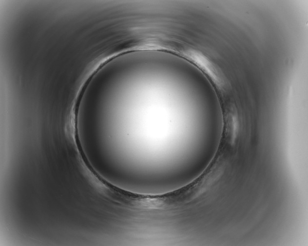 X0000088701476200705311206