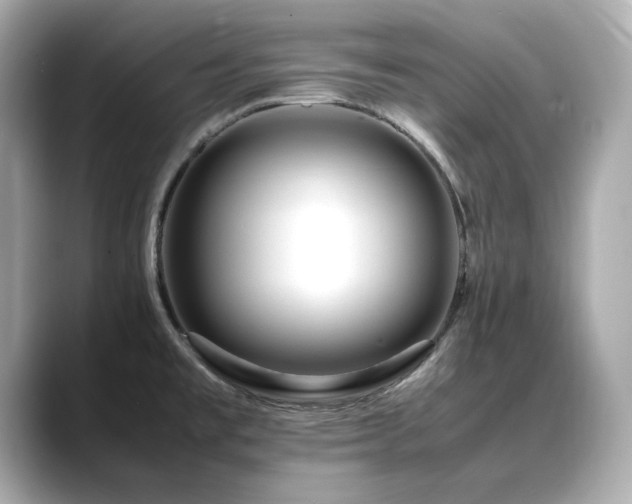 X0000088701477200705311206