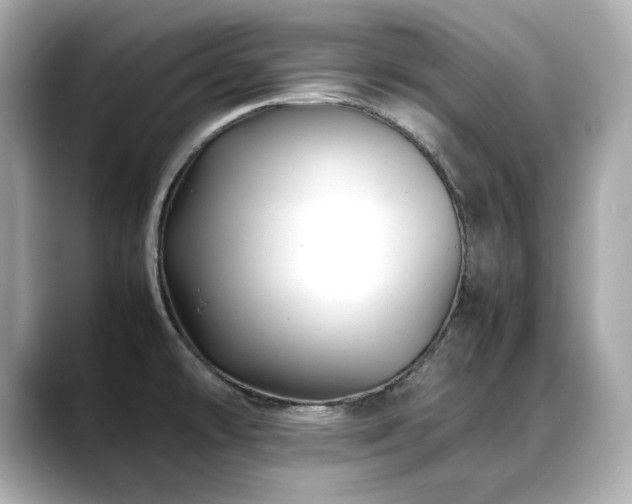 X0000088701478200705311206