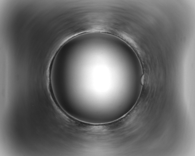 X0000088701479200705311206