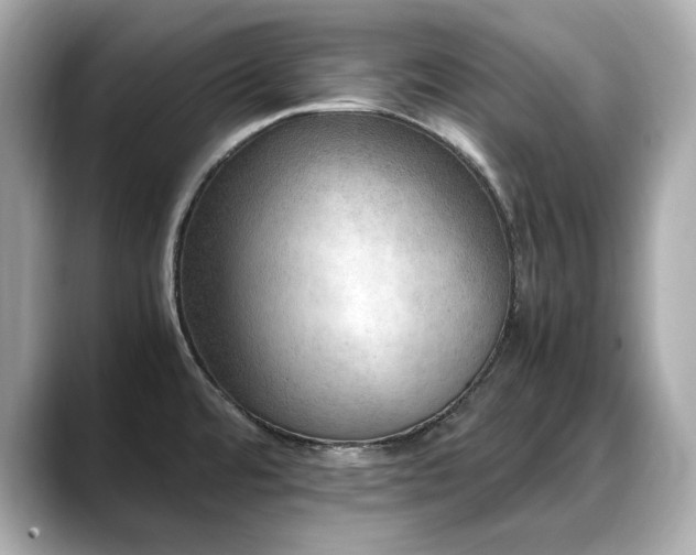 X0000088701480200705311206