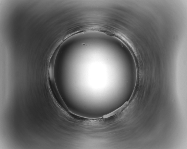 X0000088701481200705311205