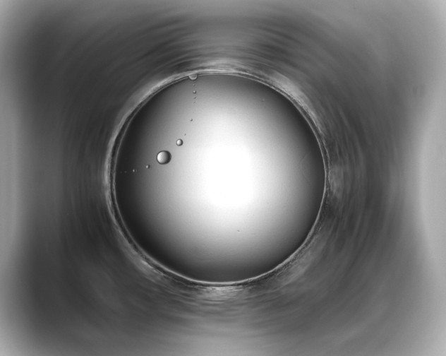 X0000088701482200705311205