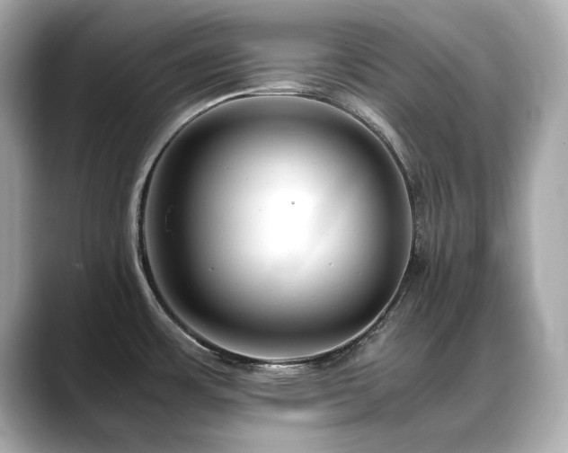 X0000088701483200705311205