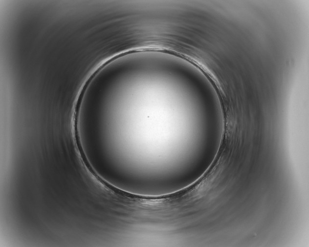 X0000088701484200705311205