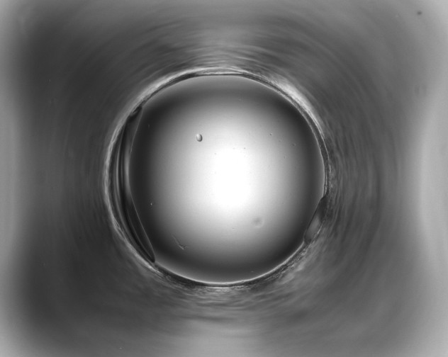 X0000088701485200705311205
