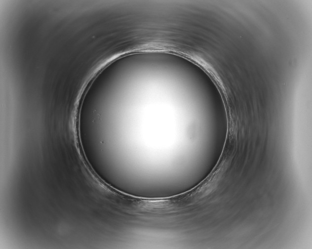 X0000088701486200705311205