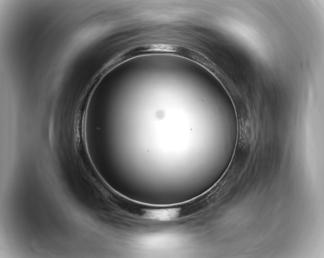X0000088701487200705311205