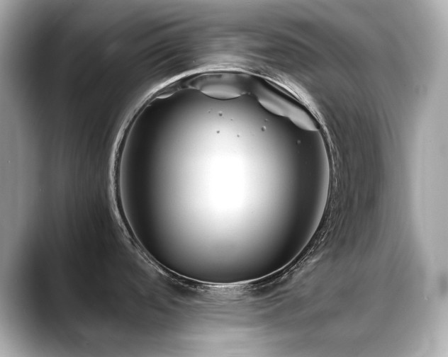 X0000088701488200705311205