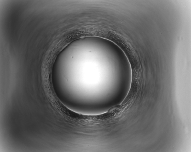 X0000088701489200705311205