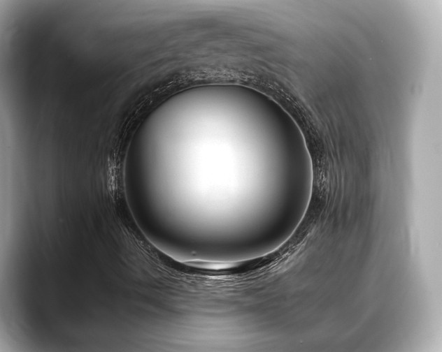 X0000088701490200705311205