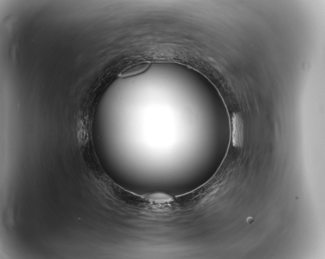 X0000088701491200705311205