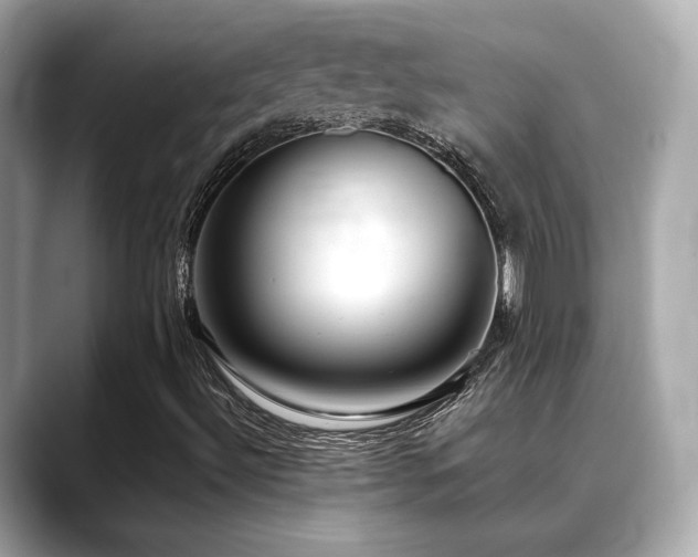X0000088701492200705311205