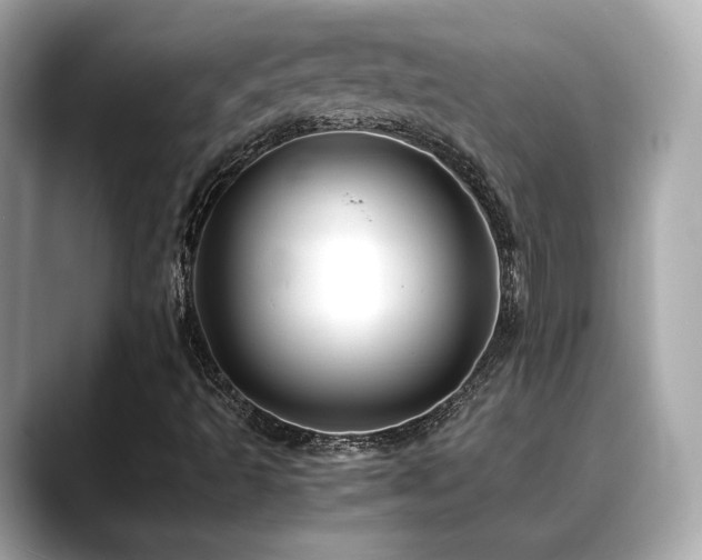 X0000088701493200705311205