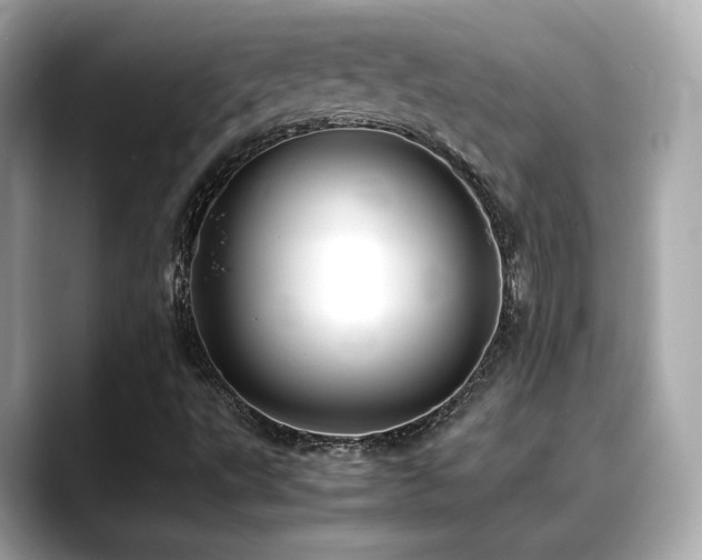 X0000088701495200705311205