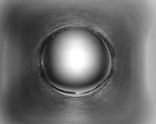 X0000088701496200705311205