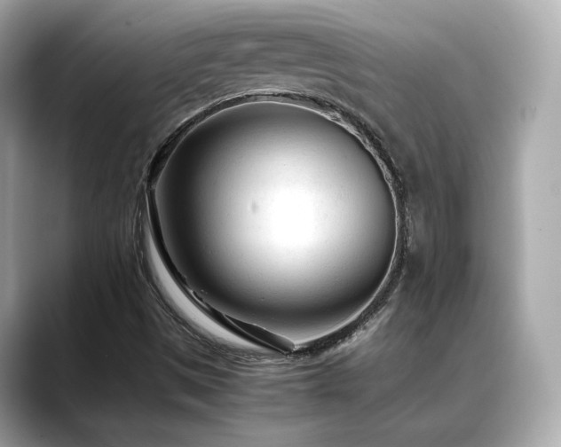 X0000088701497200705311205