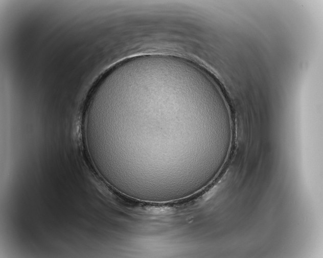 X0000088701498200705311205