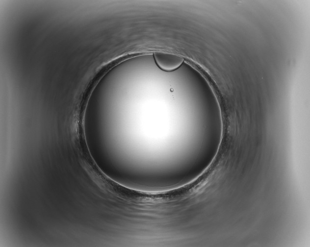 X0000088701499200705311205