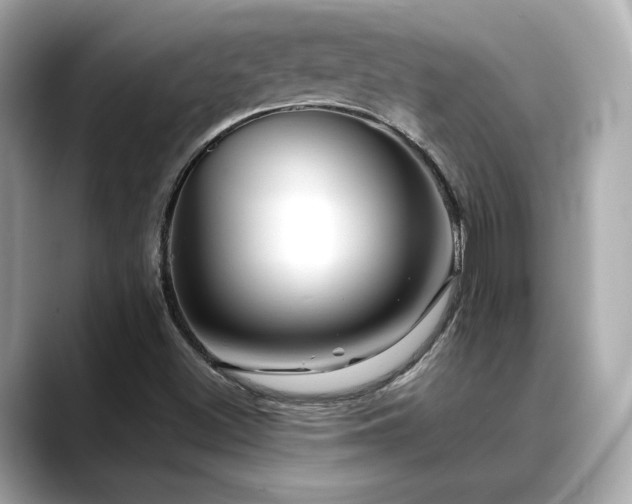 X0000088701500200705311205