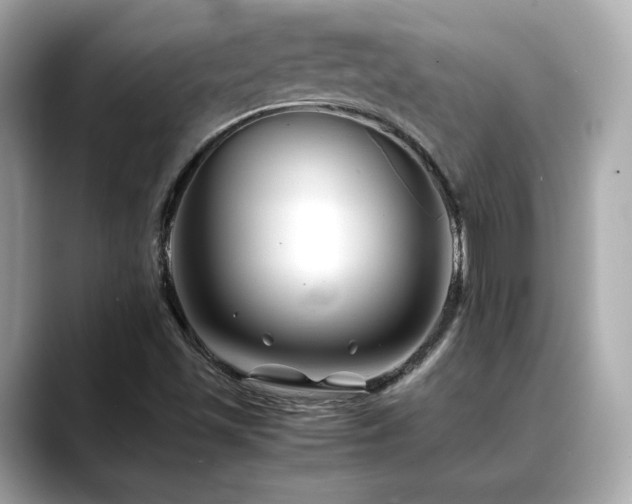 X0000088701501200705311205