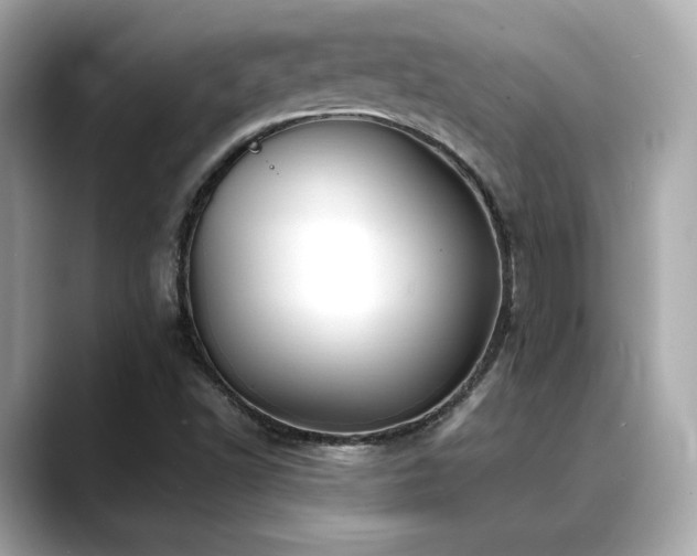 X0000088701502200705311205