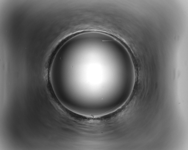 X0000088701503200705311205