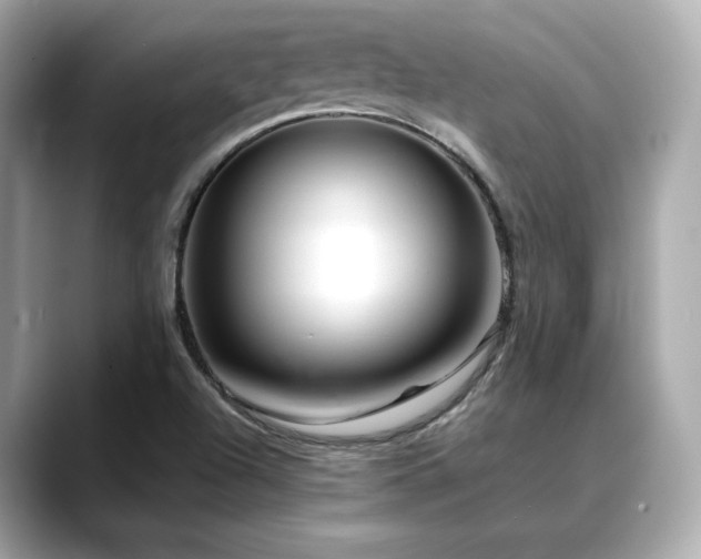 X0000088701504200705311205