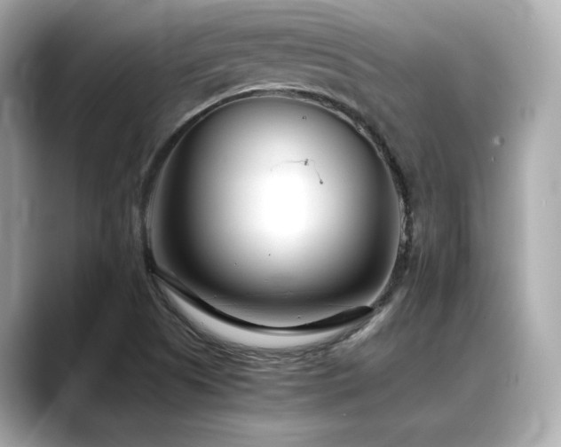 X0000088701505200705311205