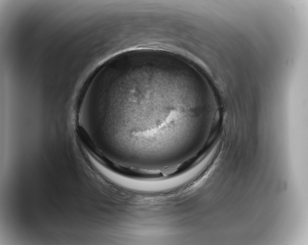 X0000088701506200705311205