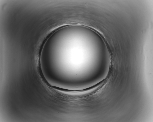 X0000088701507200705311205