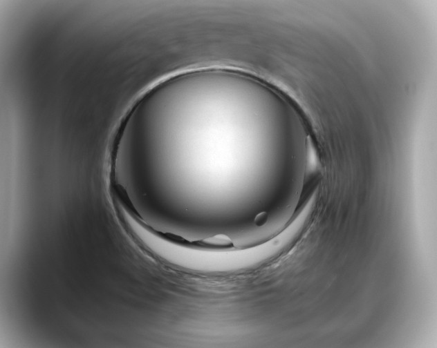 X0000088701508200705311205