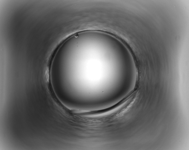 X0000088701509200705311205
